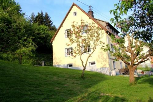 Ferienhaus Hilberath Vila Adenau Exterior foto